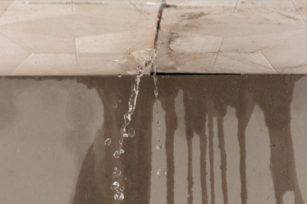 Professional Structural Drying technician working in Chesterhill, OH
